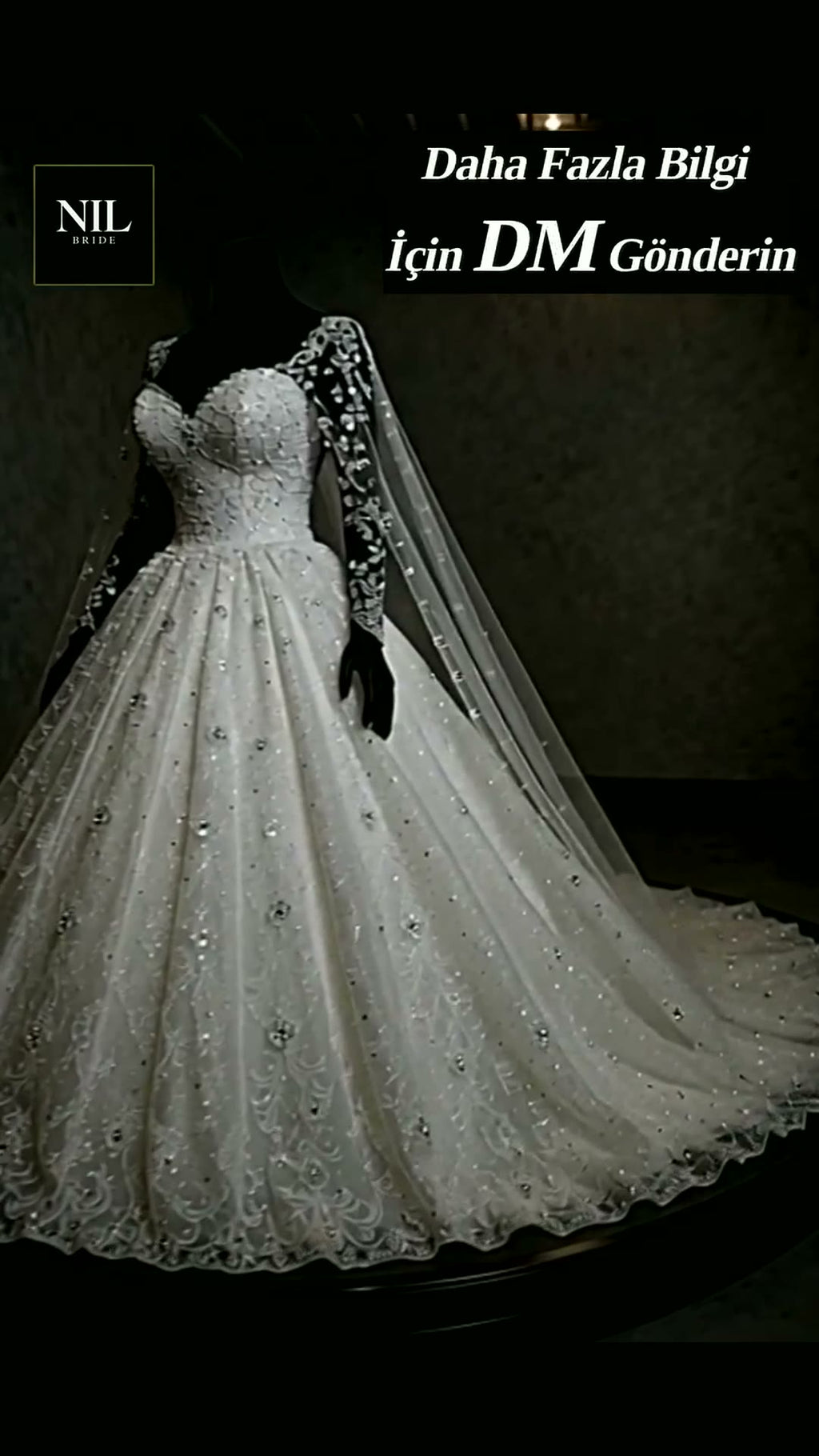 NIL 327 Ivory Ball Gown Crystal Beaded Lace Tulle Wedding Dress - Image 4
