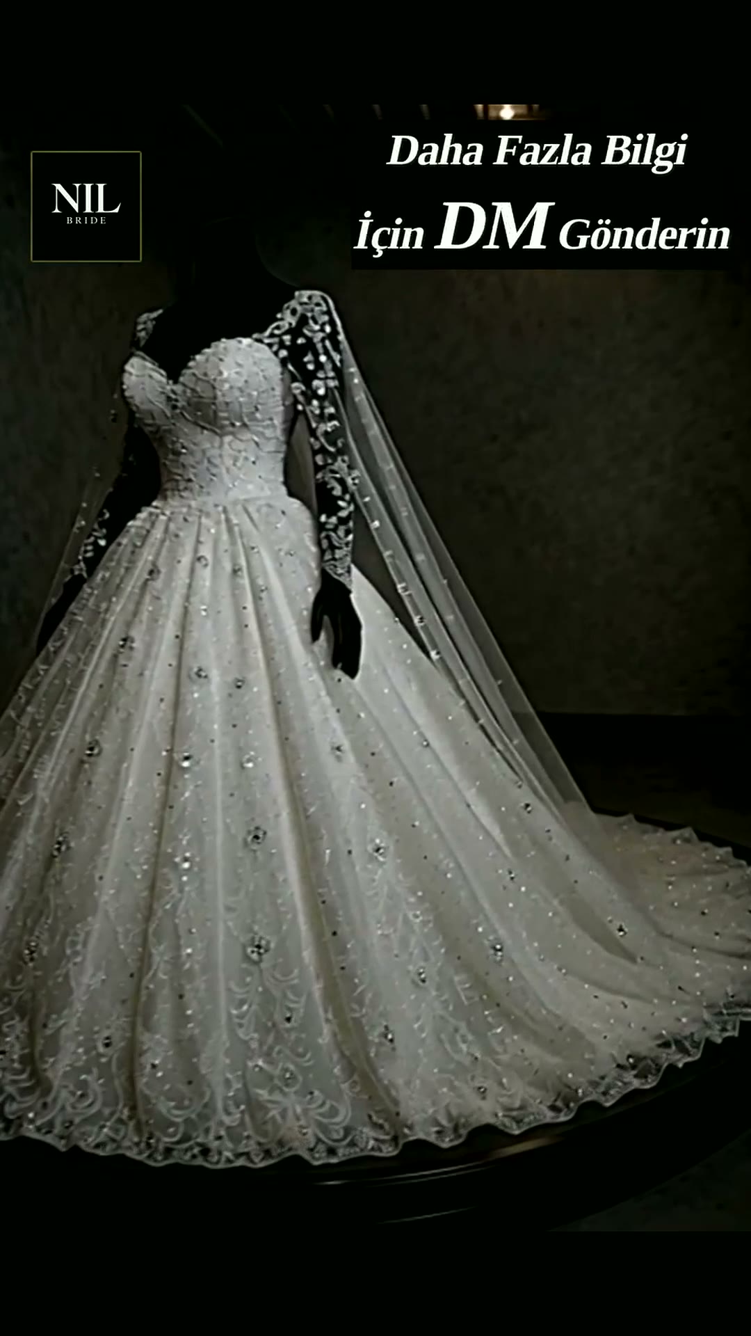 NIL 327 Ivory Ball Gown Crystal Beaded Lace Tulle Wedding Dress - Image 4