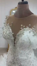 NIL 341 Ivory Ball Gown Feather Beaded Tulle Wedding Dress - Image 1