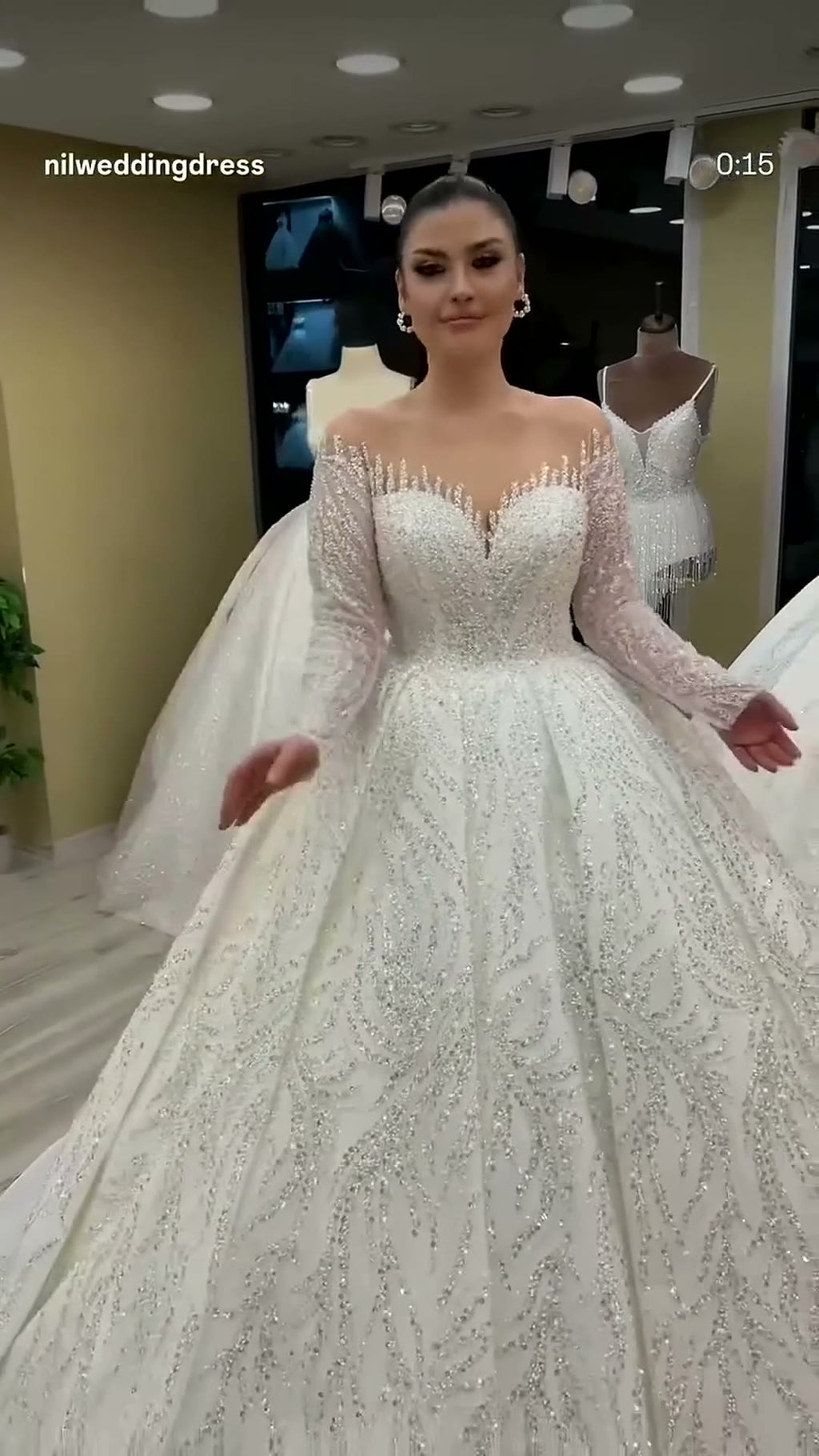 NIL 376 Ivory Ball Gown Lace Applique Tulle Wedding Dress - Image 6