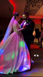 NIL 385 Ivory Ball Gown Glitter Tulle Wedding Dress - Image 4