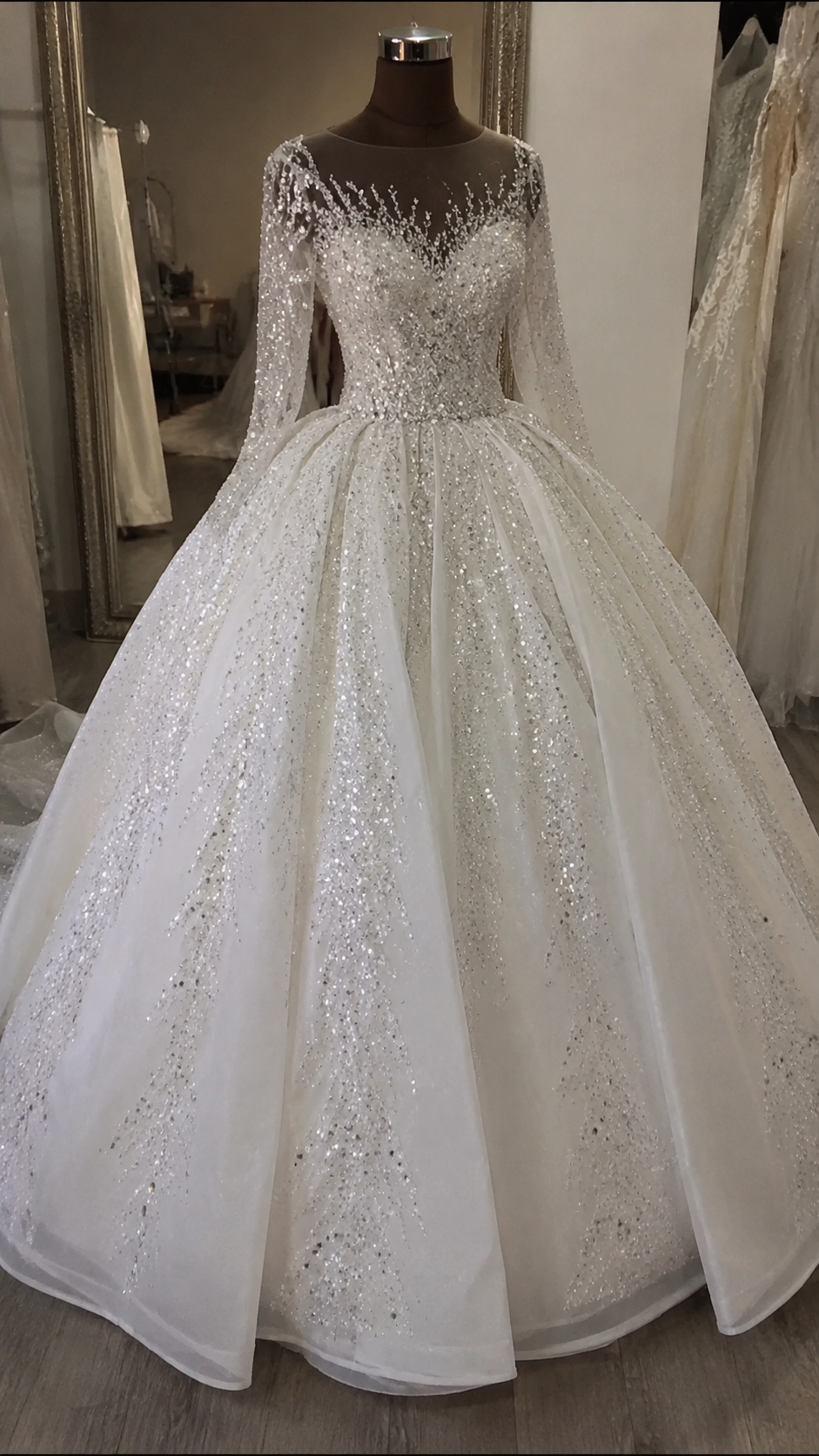 INS-006 Ivory Princess Ball Gown Long Sleeve Wedding Dress