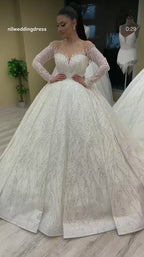 NIL-376 Ivory Ball Gown Lace Applique Tulle Wedding Dress